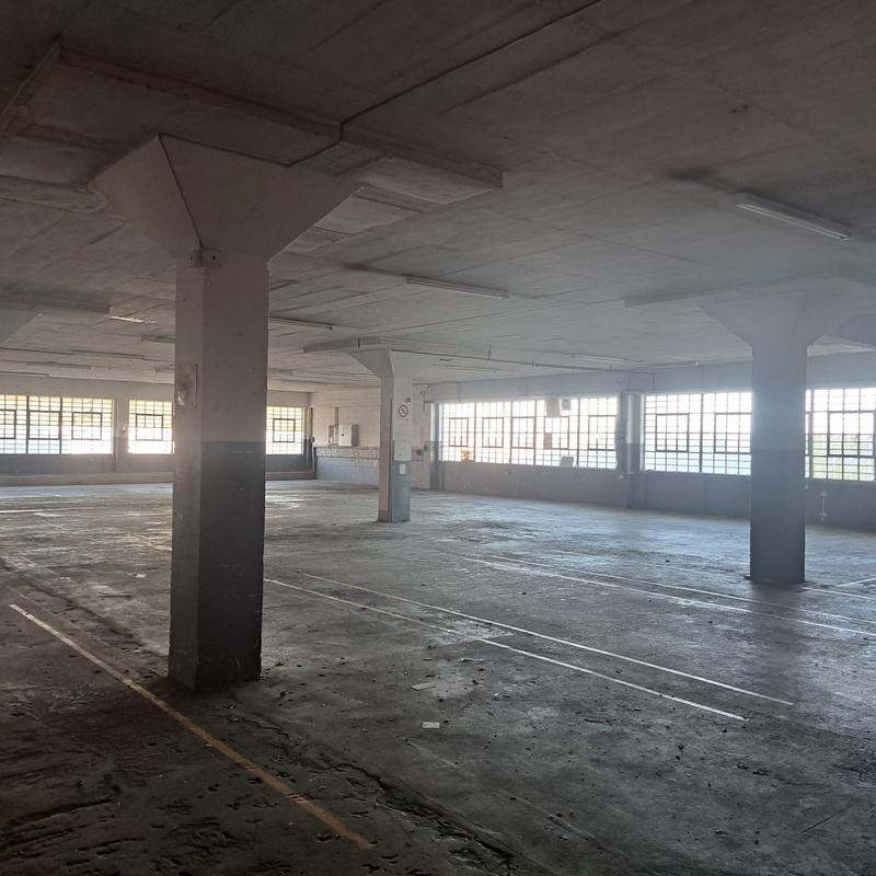 To Let commercial Property for Rent in Neave Industrial Eastern Cape